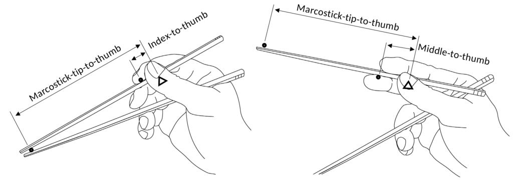 Chopsticks Marcosticks - "Perceived" third-class Archimedean lever action - Leverage Ratios - Both compression and extension