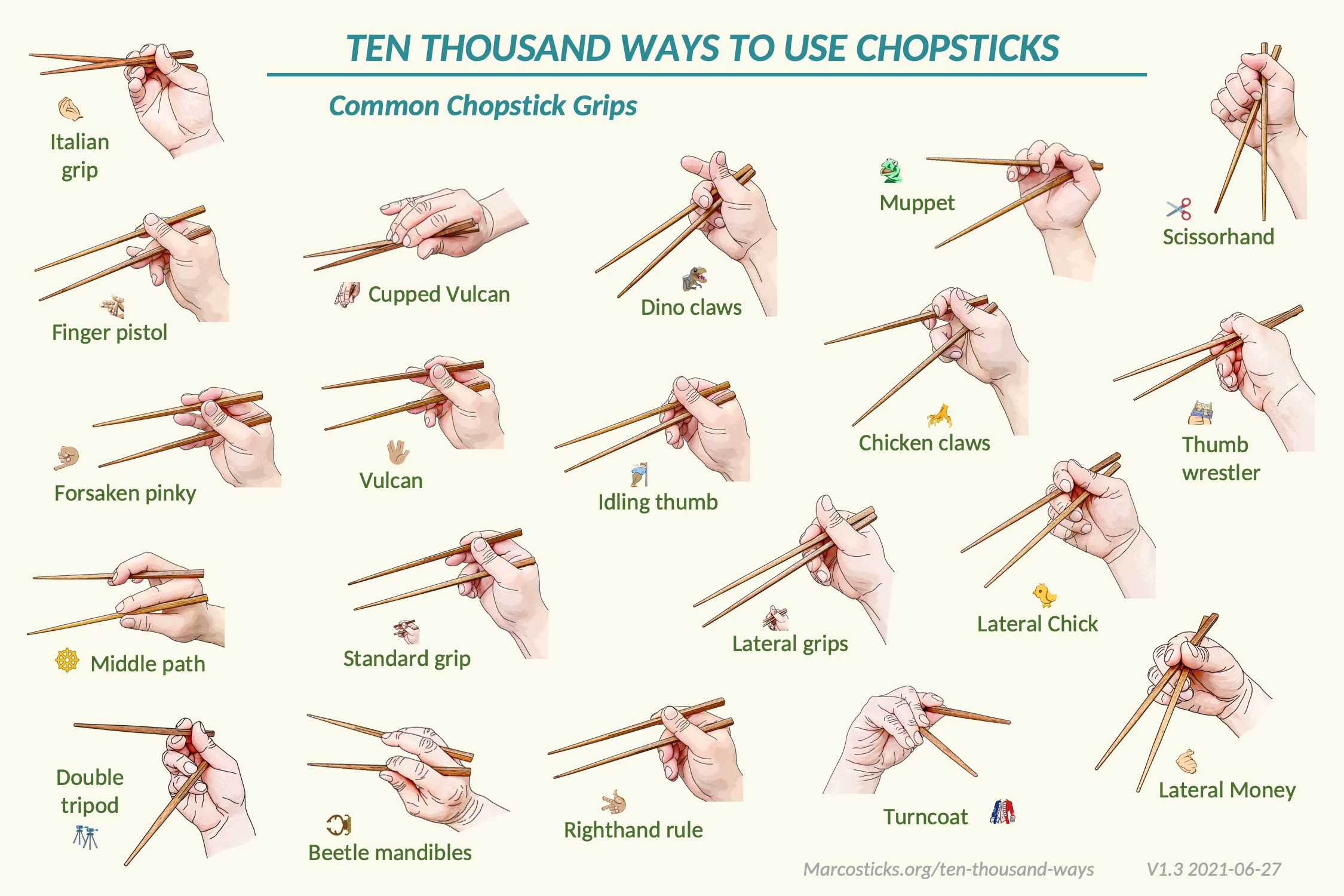 Read more about the article (clickable catalogs) 19 Common Chopstick Grips